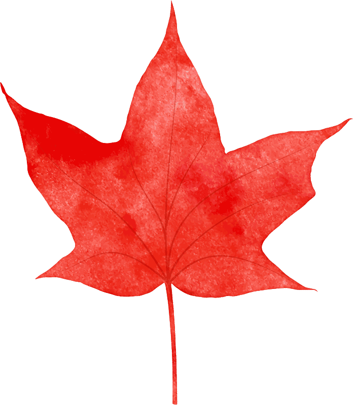 A picture of a red maple leaf that represents individual Canadians